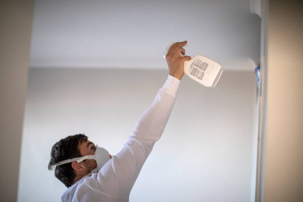 Best Same-Day Mold Removal  in Metzger, OR