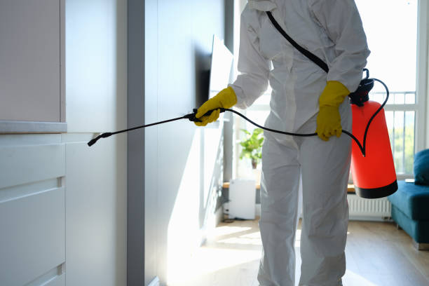 Best Commercial Mold Removal  in Metzger, OR